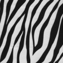 96 - Zebra