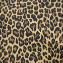 98 - Leopard